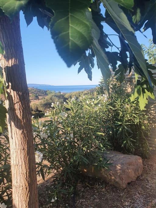 Studio Mitoyen A La Campagne Vue Sur La Mer การ์แฌส ภายนอก รูปภาพ